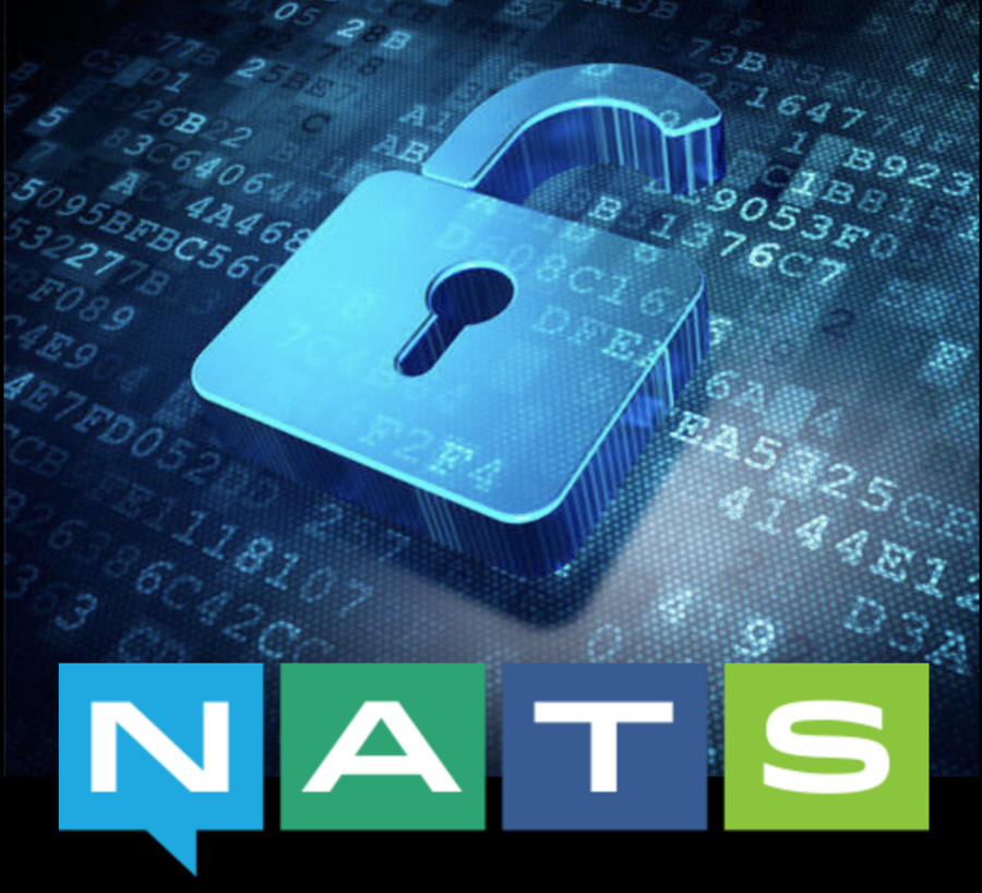 NATS Security Logo